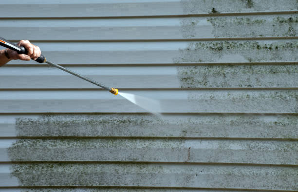 Best Mold Damage Repair  in Spring Valley Lake, CA