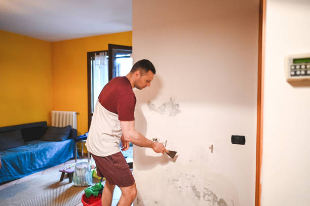 Best Professional Mold Removal  in Spring Valley Lake, CA